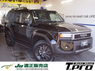 2025 Toyota LAND CRUISER 250 — фото 3