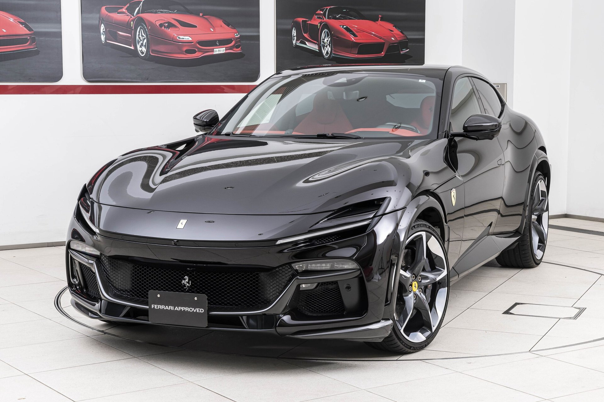 FERRARI PUROSANGUE - View 1