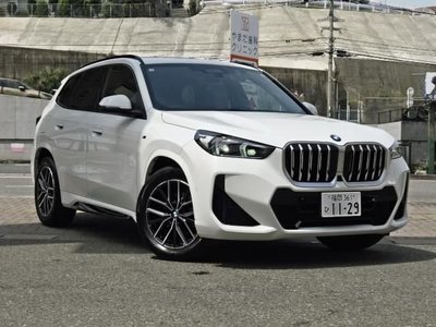 BMW X1 - 1