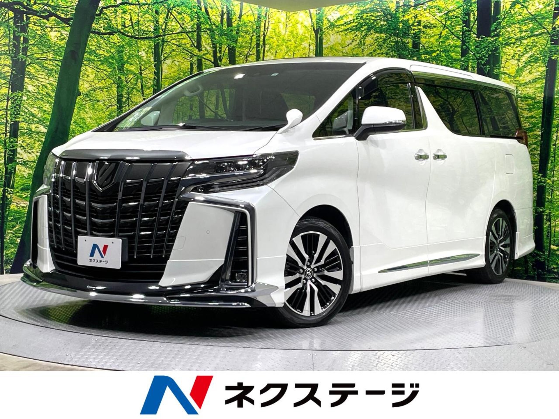 TOYOTA ALPHARD - View 1