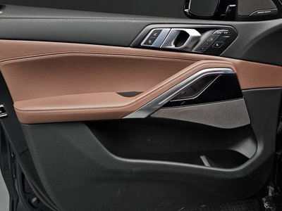 2025 BMW X6 thumbnail 17
