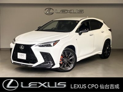 LEXUS NX - 1