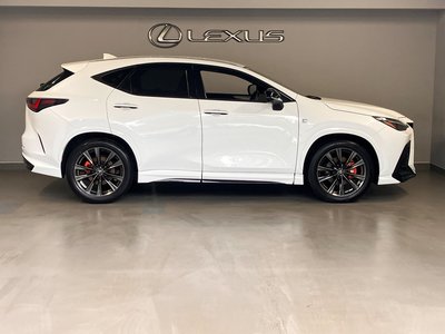 LEXUS NX - 10