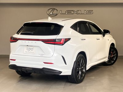 LEXUS NX - 6