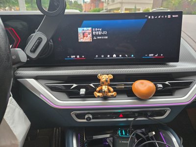 2024 BMW XM — миниатюра 12