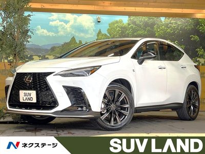 LEXUS NX - 1