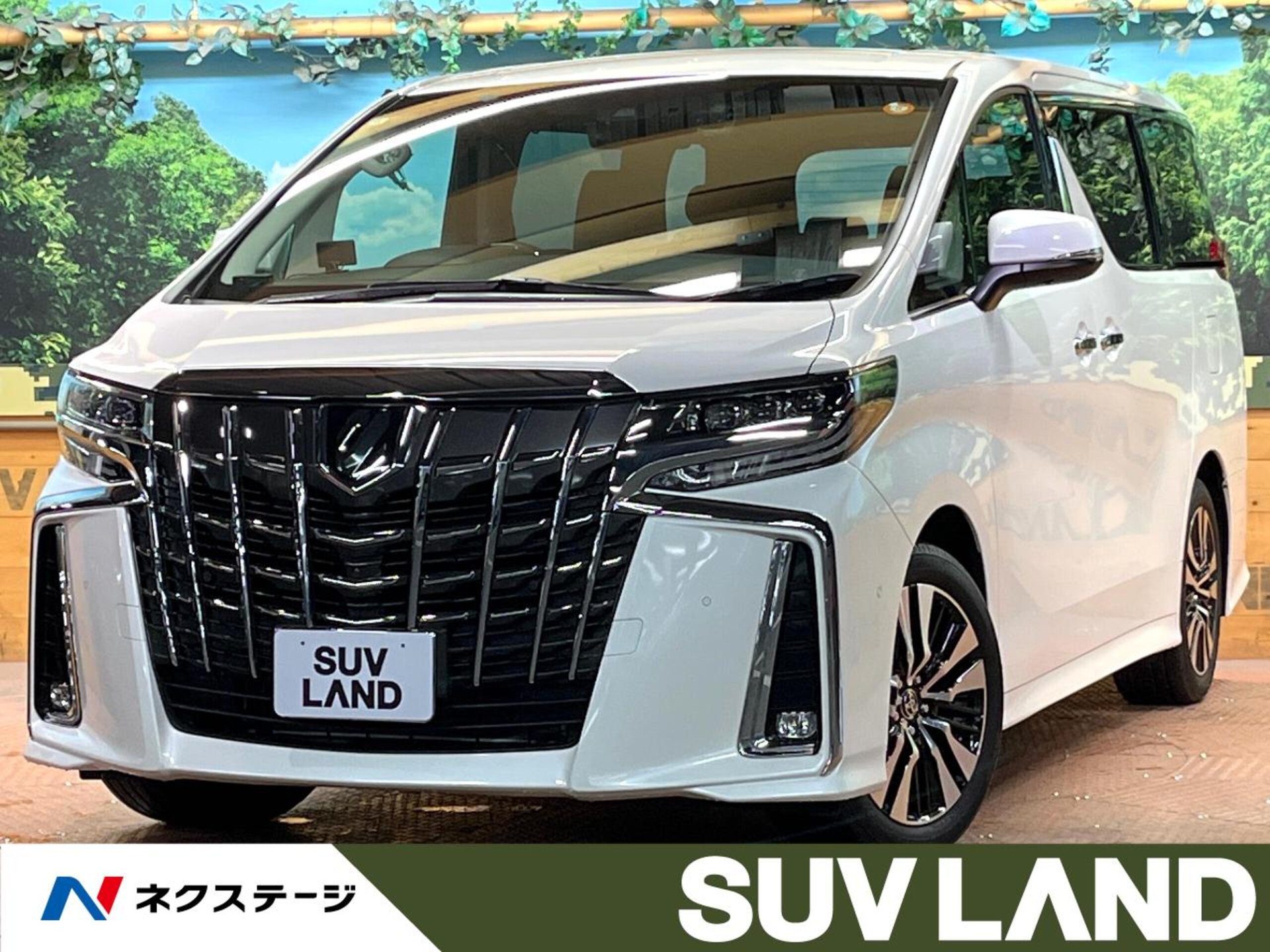 TOYOTA ALPHARD - View 1