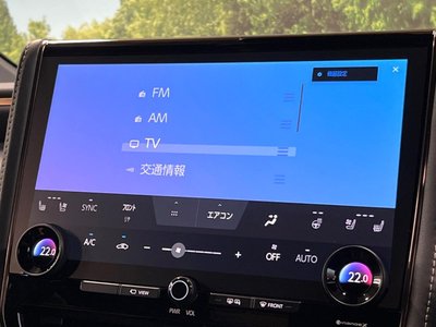 صورة مصغرة 22 لـ 2025 TOYOTA ALPHARD