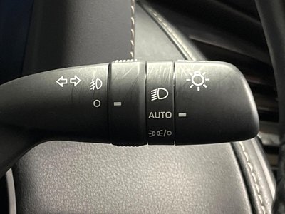صورة مصغرة 33 لـ 2025 TOYOTA ALPHARD