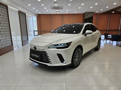 LEXUS RX - 1