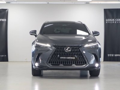 LEXUS NX - 2