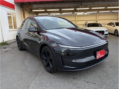 2025 Tesla MODEL Y photo 8