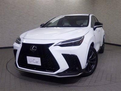 LEXUS NX - 6