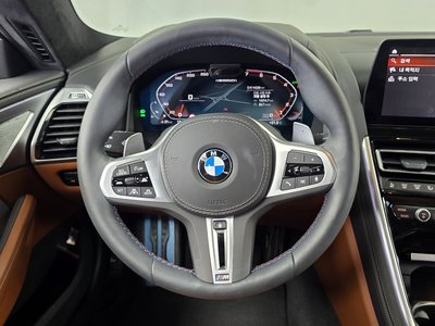 2025 BMW 8 SERIES thumbnail 19
