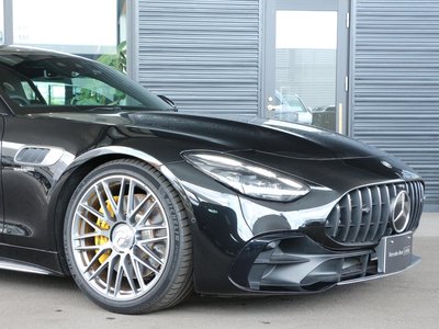 2025 Mercedes-BENZ GT AMG 缩略图 25