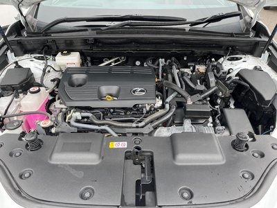 2023 Lexus NX 缩略图 18