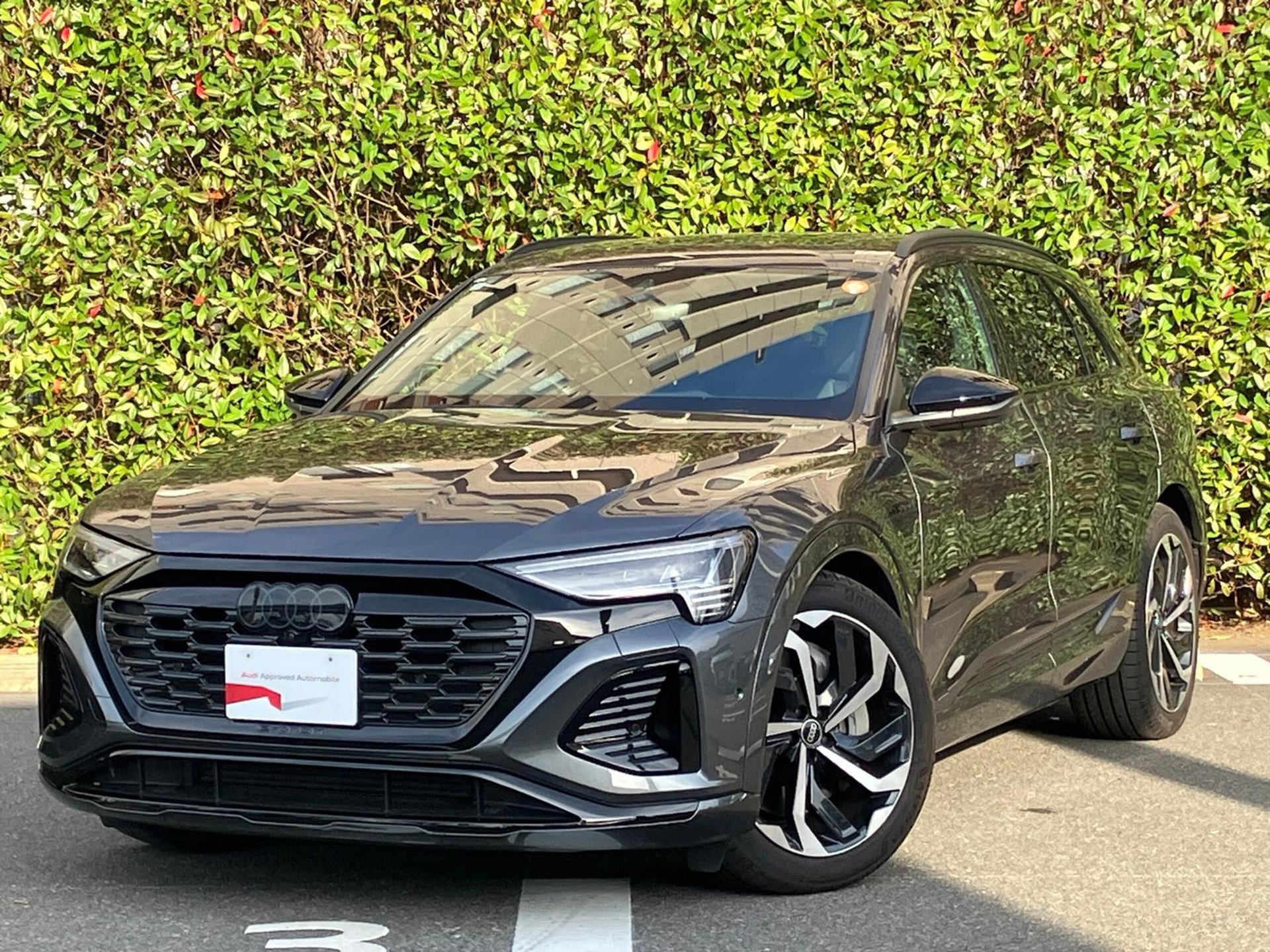 AUDI Q8 E-TRON - View 1