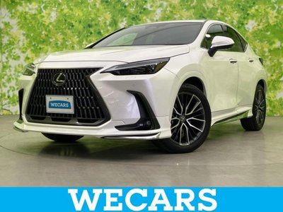 LEXUS NX - 1