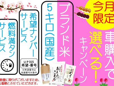 MERCEDES-BENZ C-CLASS AMG - 5