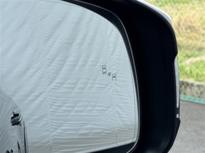 TOYOTA LAND CRUISER 300 - 10