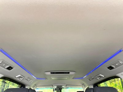 2023 TOYOTA ALPHARD thumbnail 58