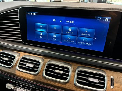 2025 Mercedes-BENZ GLE — миниатюра 30