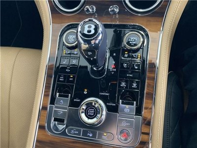 2019 BENTLEY OTHERS 缩略图 20
