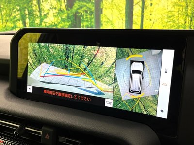 TOYOTA LAND CRUISER 250 - 5