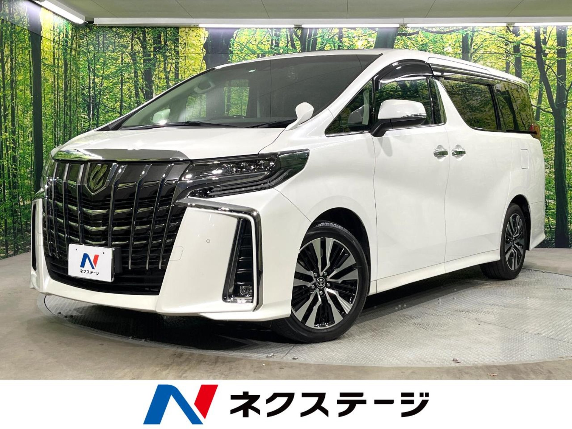 TOYOTA ALPHARD - View 1