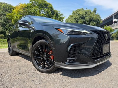 2023 Lexus NX — миниатюра 15