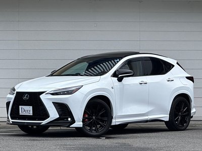 LEXUS NX - 6