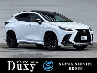 LEXUS NX - 1