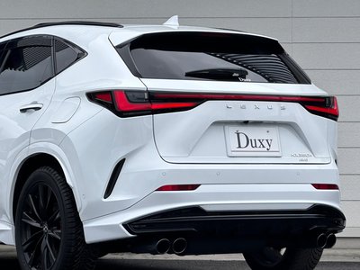 LEXUS NX - 5