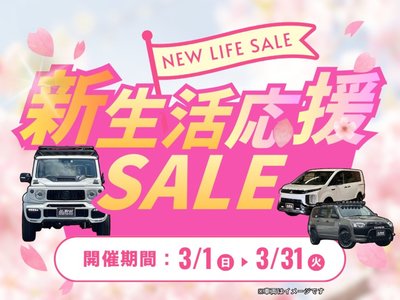 TOYOTA LAND CRUISER PRADO - 2