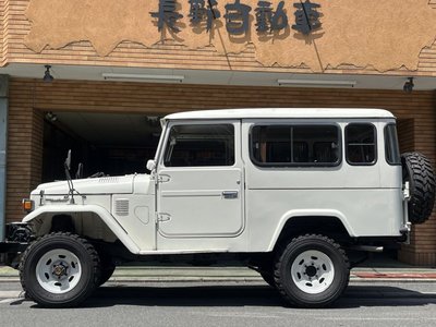 TOYOTA LAND CRUISER - 1