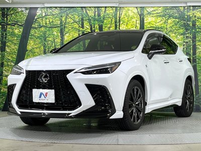 2023 Lexus NX 缩略图 24