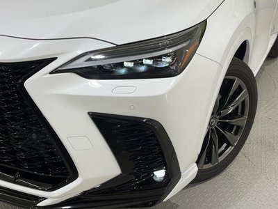 2023 Lexus NX 缩略图 12