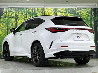 2023 Lexus NX 缩略图 17