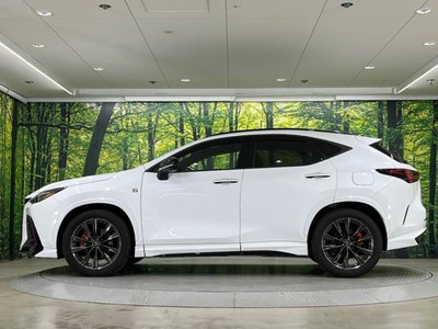 2023 Lexus NX 缩略图 25