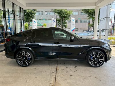 2023 BMW X6 — миниатюра 51