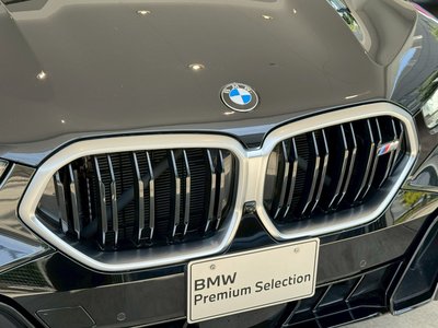 2023 BMW X6 — миниатюра 48
