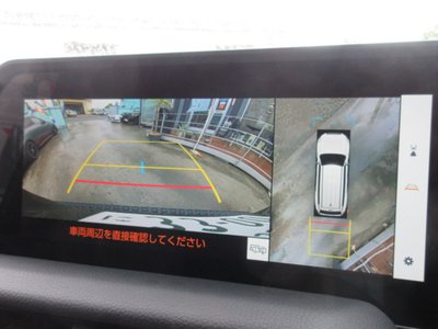 TOYOTA LAND CRUISER 250 - 9