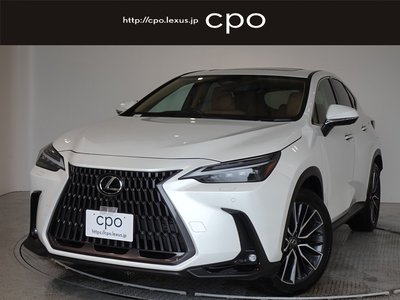 LEXUS NX - 1