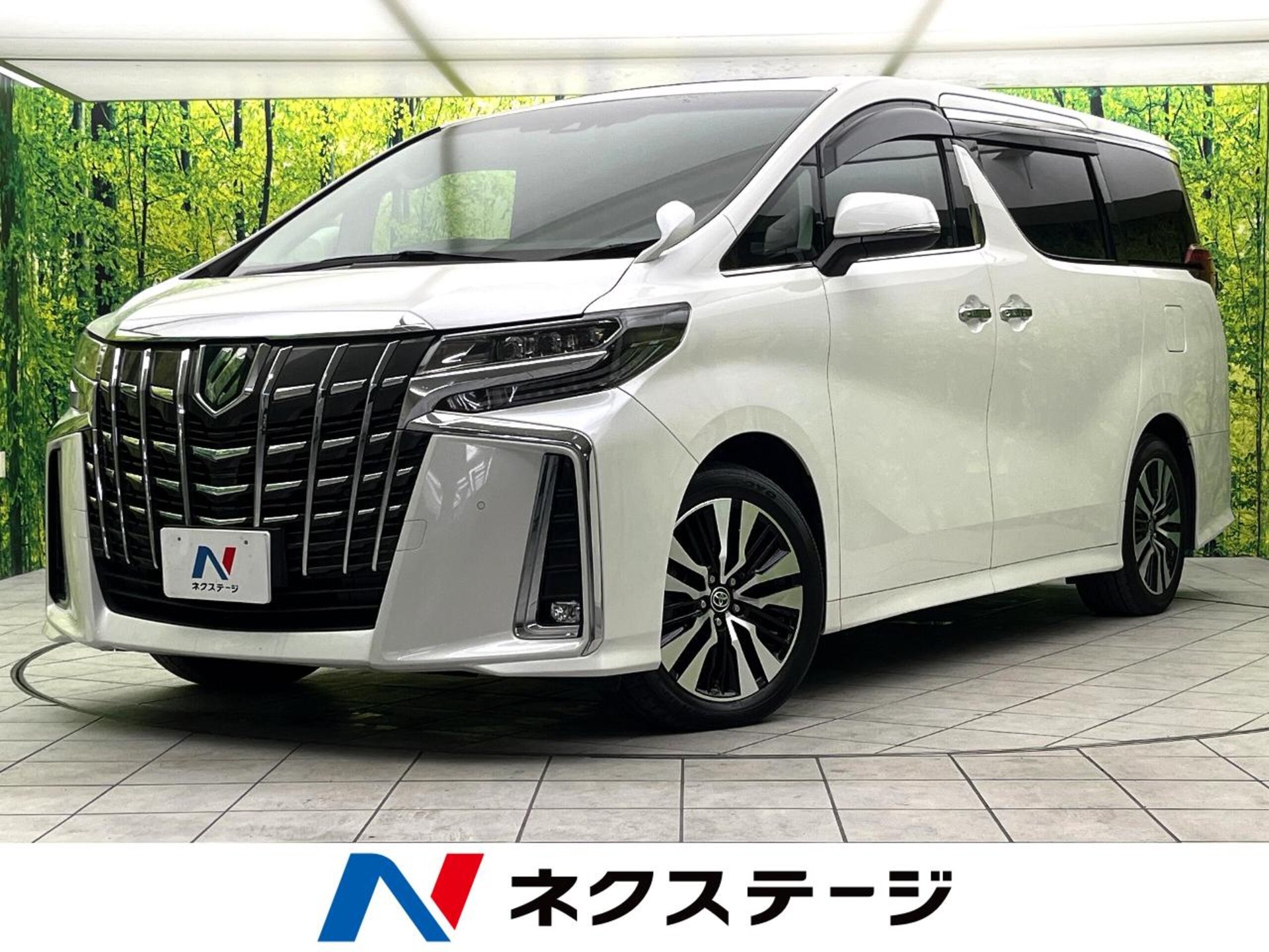 TOYOTA ALPHARD - View 1