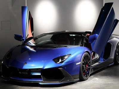 صورة 2 لـ 2014 LAMBORGHINI AVENTADOR ROADSTER