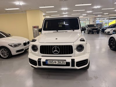 MERCEDES-BENZ G-CLASS - 1