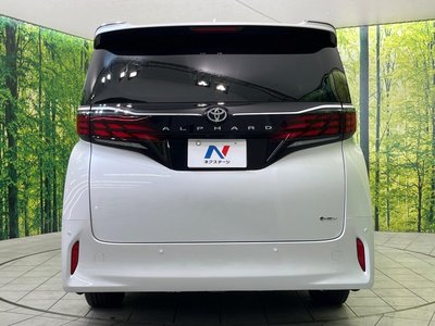 2025 TOYOTA ALPHARD 缩略图 17