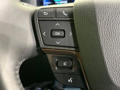 2025 TOYOTA ALPHARD 缩略图 49