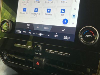 2025 TOYOTA ALPHARD 缩略图 29