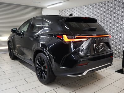 2023 Lexus NX — миниатюра 47